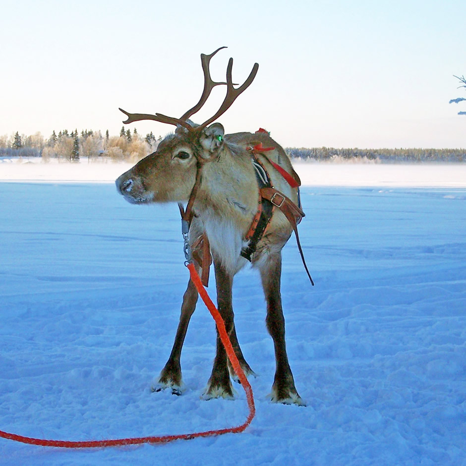 Lapland