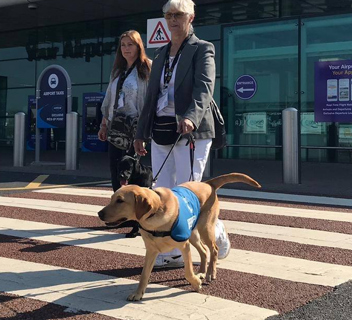 Assistance Dogs Assistance Dogs