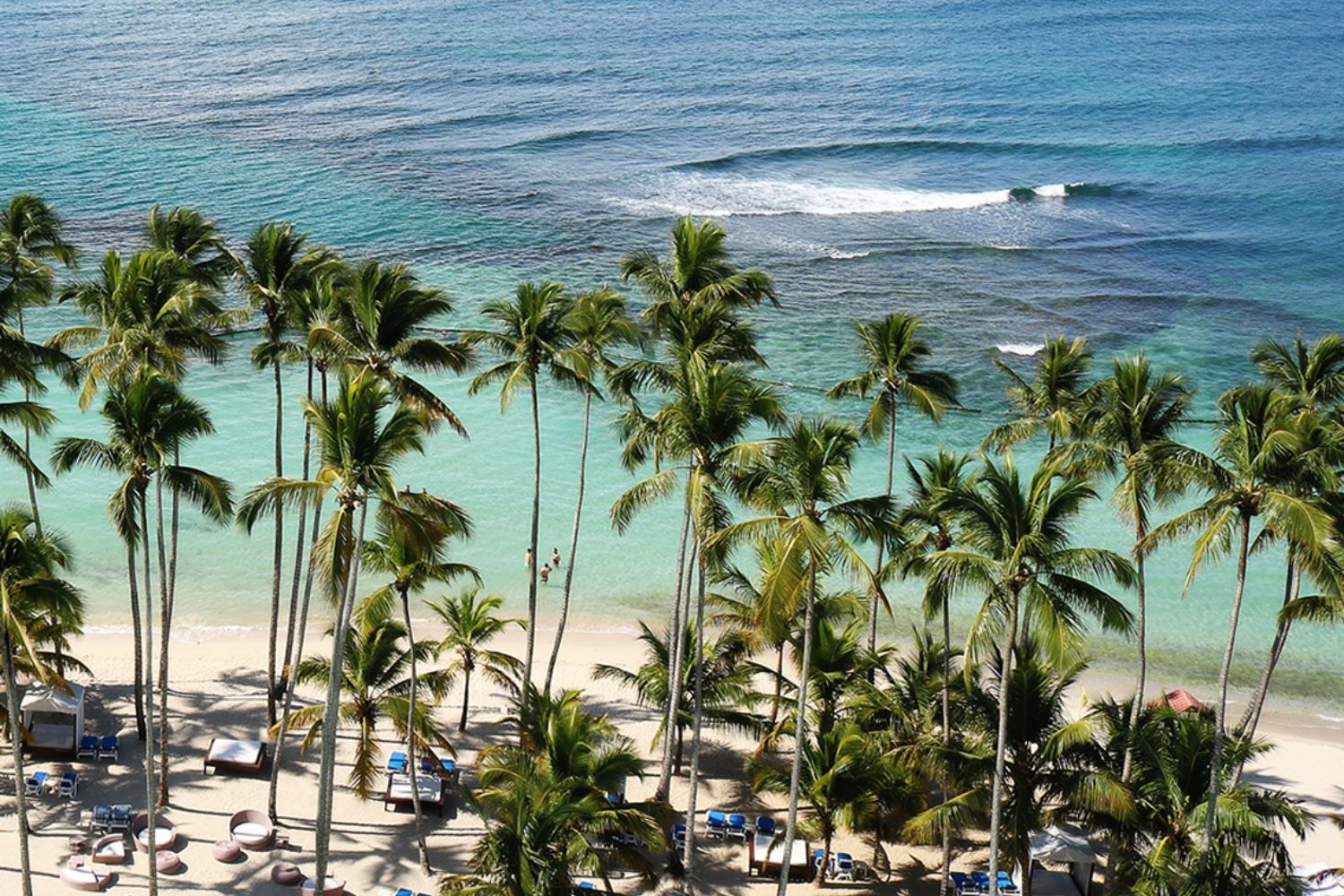 Jamaica