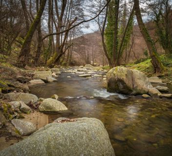 Water Quality